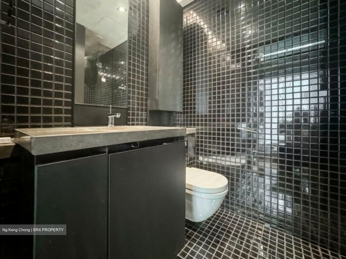 Skysuites@Anson (D2), Apartment #557836571